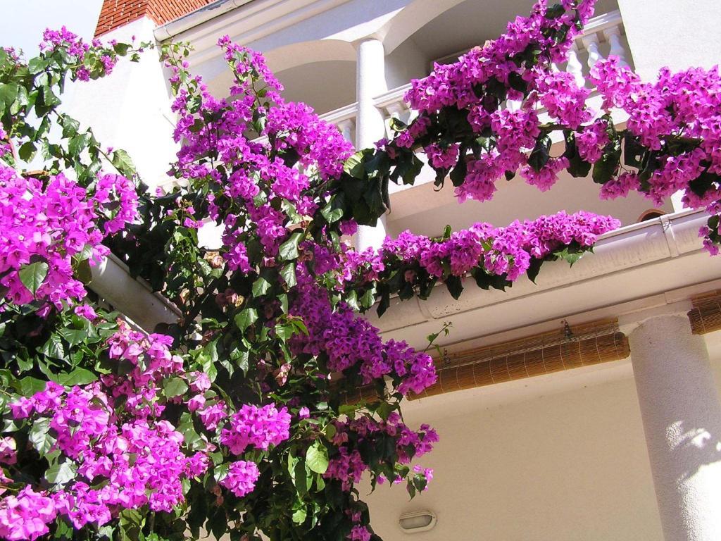 Apartments Paloma Blanca Medulin Luaran gambar