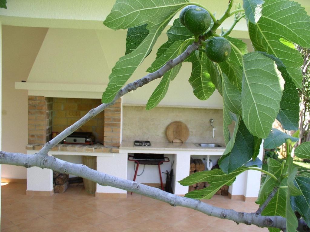 Apartments Paloma Blanca Medulin Luaran gambar