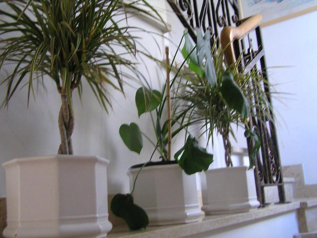 Apartments Paloma Blanca Medulin Bilik gambar