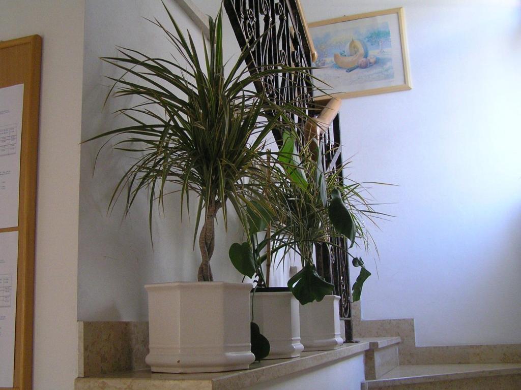 Apartments Paloma Blanca Medulin Bilik gambar
