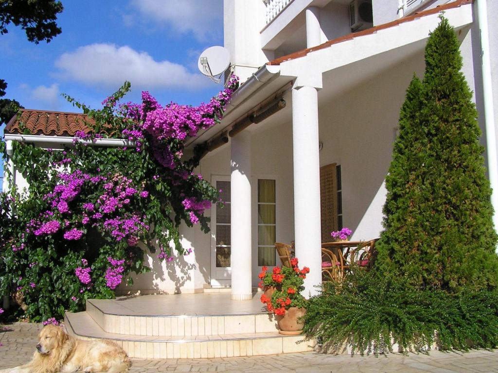 Apartments Paloma Blanca Medulin Bilik gambar